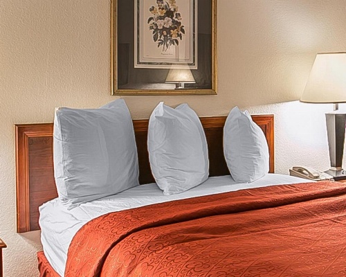 Medical Center Inn image 11